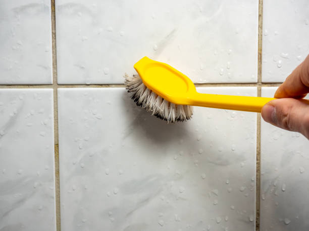 Mold Removal Process in Hallam, PA