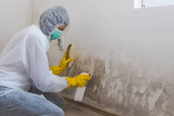 Best Emergency Mold Removal  in Hallam, PA