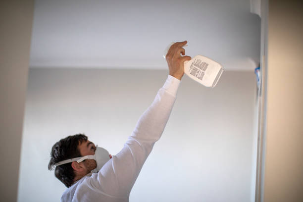 Best Best Mold Removal Companies  in Hallam, PA