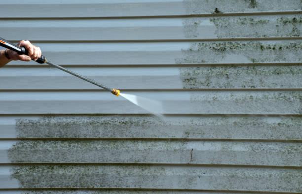 Best Mold Damage Repair  in Hallam, PA