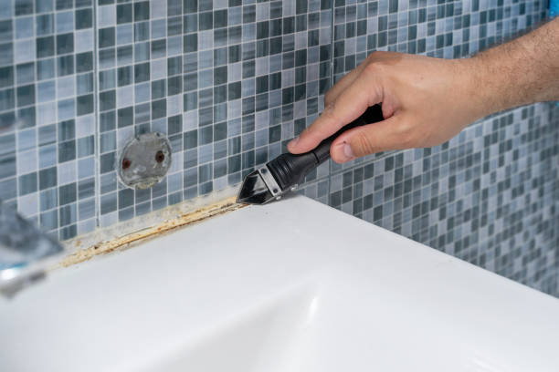 Best Mold Removal Process  in Hallam, PA